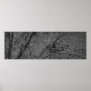 Search for leaf vegetable posters Plant