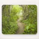 Search for forest path mouse mats Outdoors