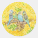 Search for yellow parakeet stickers Cute