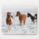 Search for coating mouse mats Winter