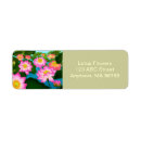 Search for buddha return address labels Lotus