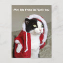 Search for parody christmas cards Cat