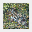 Search for cute fawn magnets Nature