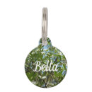 Search for branches pet supplies Nature