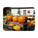 Search for fall foliage magnets Season
