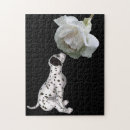 Search for dalmatian puzzles Cute