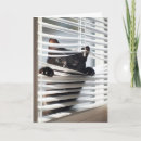 Search for blind cards Cat