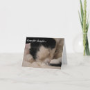 Search for sleeping beauty cards Cat