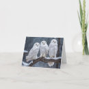 Search for owl note cards Bird