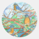 Search for cherry tree stickers Nature
