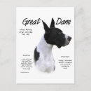 Search for meet vertical postcards Dog