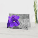 Search for violet colour cards Summer