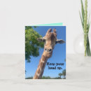Search for purpose cards Funny