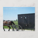 Search for buggy horizontal postcards Amish