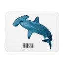 Search for shark magnets Fish