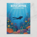 Search for vintage diver postcards Snorkelling