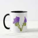 Search for echium Borage