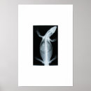 Search for monitor posters Lizard