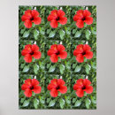 Search for hibiscus art Beautiful