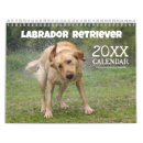 Search for lab calendars Retriever