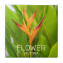 Search for gardener tiles Botanical