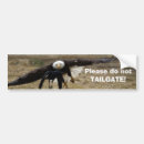 Search for crow bumper stickers Nature