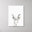 Search for pencil canvas prints Animal