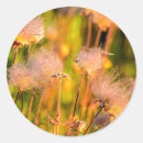 Search for prairie stickers National park