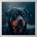 Search for rottweiler art Black