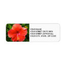 Search for red hibiscus return address labels Flower