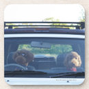 Search for poodle coasters Outdoors