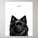 Search for schipperke posters Cute