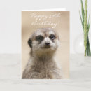Search for meerkat birthday cards Cute