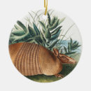 Search for armadillo christmas tree decorations Wildlife