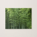 Search for bamboo forest Aerial