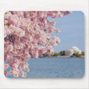 Search for dc mouse mats Architecture