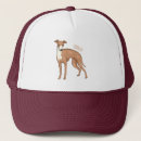 Search for greyhounds hats Pet