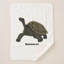 Search for tortoise gifts Ecuador