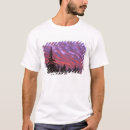 Search for three sisters tshirts Oregon