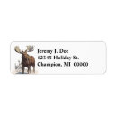 Search for bulls return address labels Nature