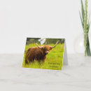 Search for coo cards Scotland