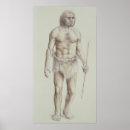 Search for evolution of man posters Primitive