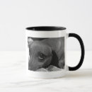 Search for sad dog Black