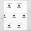 Search for chocolate lover Puppy