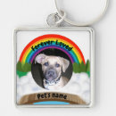 Search for rainbow bridge key rings Memorial