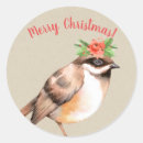 Search for robin bird stickers Holly