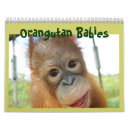 Search for save calendars Rescue