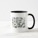 Search for rodent mugs Squirrel