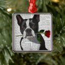 Search for boston terrier christmas tree decorations Cute boston terriers