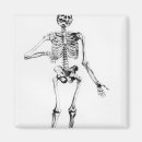 Search for anatomically magnets 16th